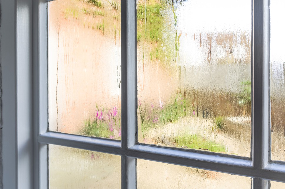 Window repair and replacement