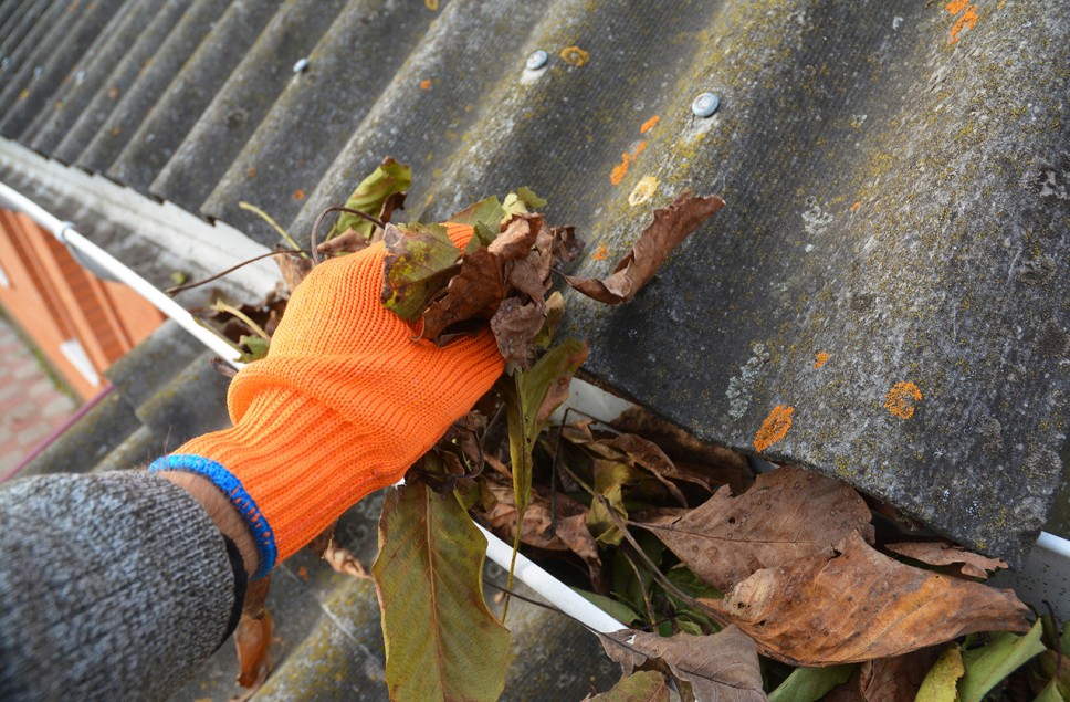 leaf gutter guard, gutter system western MA, gutter company western MA, gutter guards