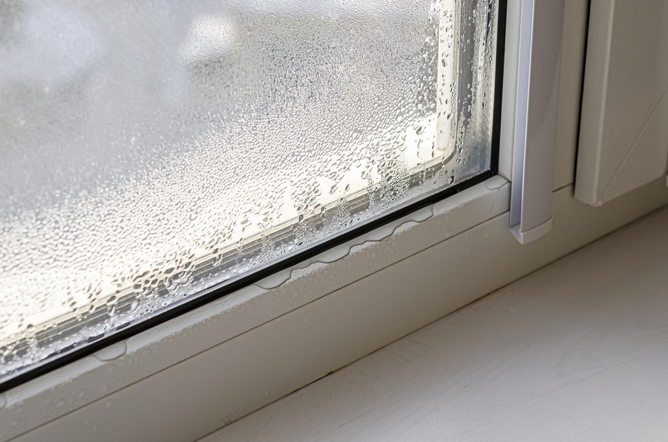 windows Western MA, window company Western MA, window company westfield MA