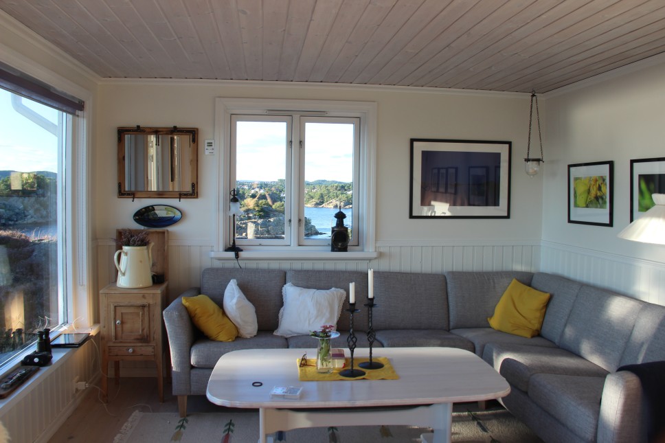 Indoor living room area with white walls, a couch, and double hung windows.